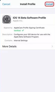 Get iOS 14 Developer Beta Update