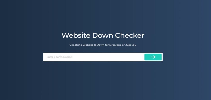 Review of Website Down Checker Tool - Why is it Useful? | TechLatest
